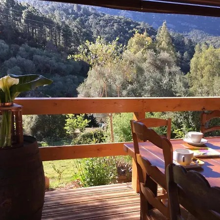 Régine à L'alivi Auberge de jeunesse Serriera (Corsica)