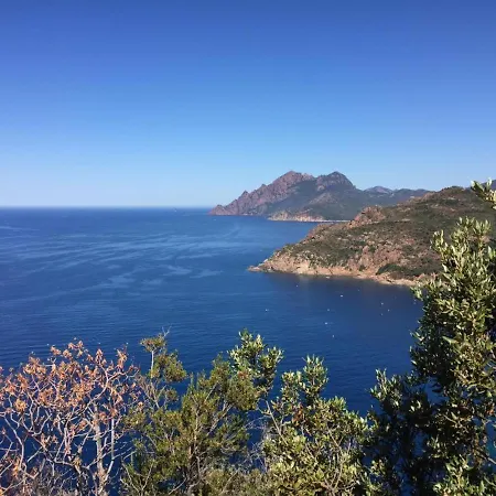 Régine à L'alivi Auberge de jeunesse Serriera (Corsica)